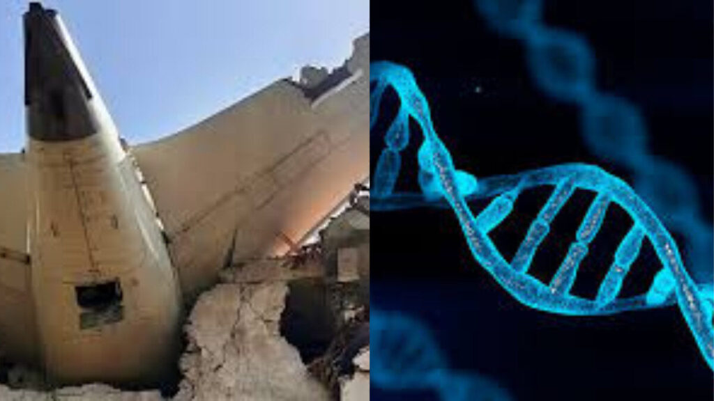 DNA Identification Process